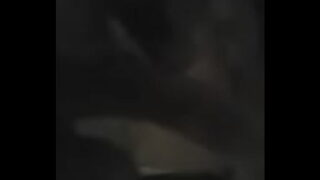 tritubto a la pepina chilena